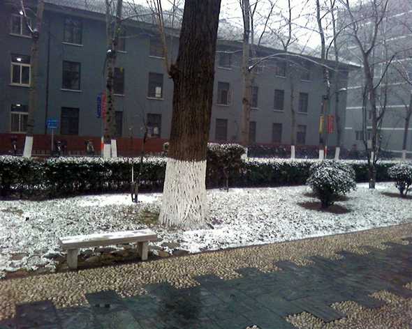 第一场雪